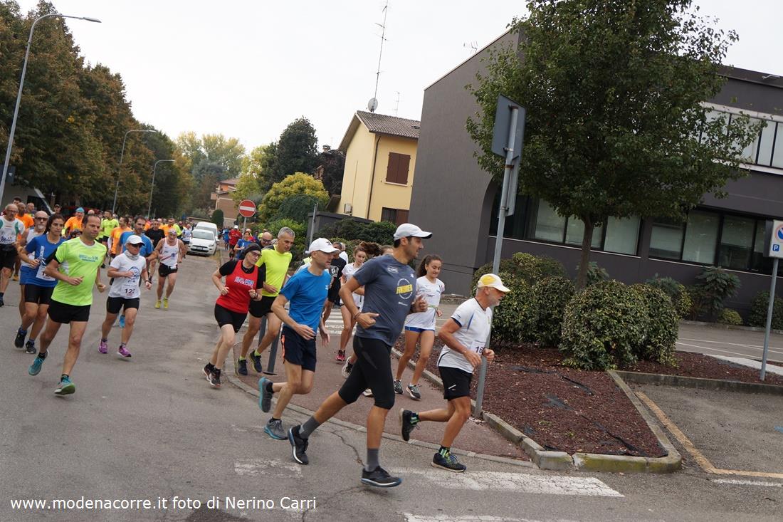 Camminata Di San Prospero A Reggio Emilia Di Nerino Carri